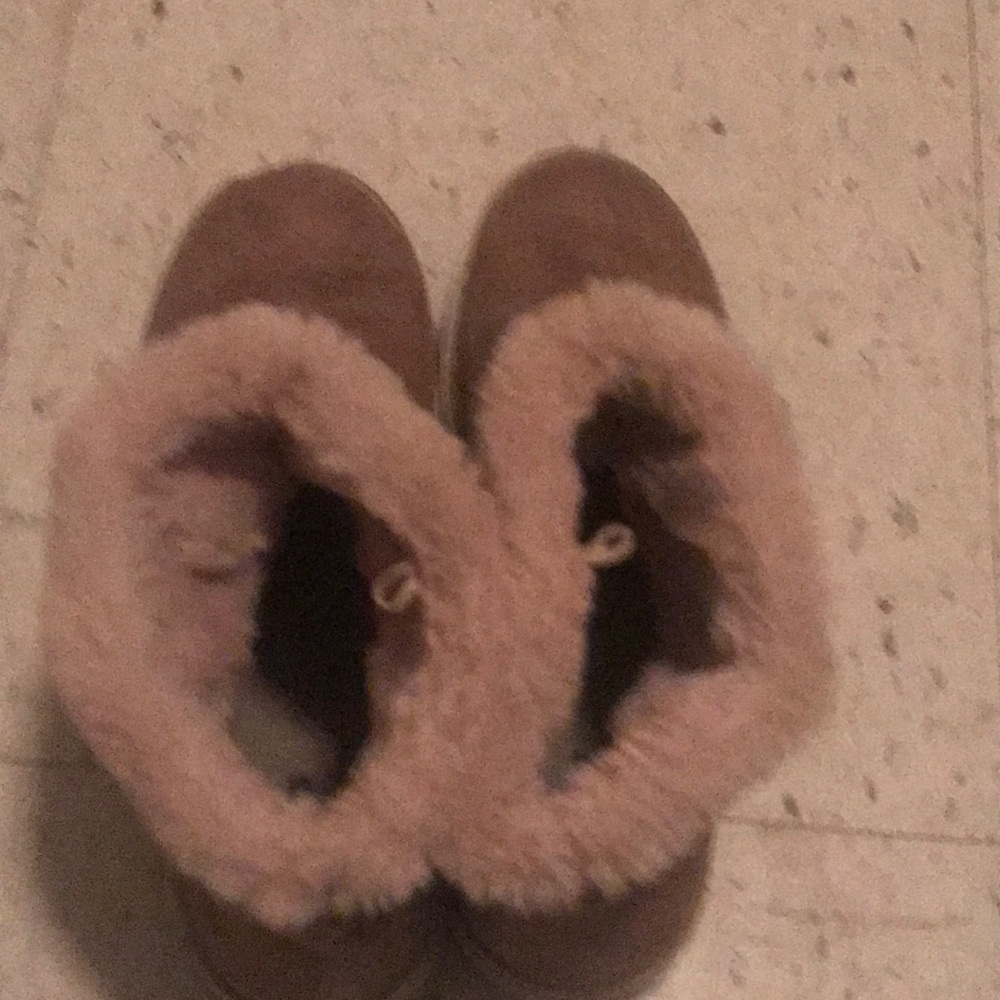 joe boxer boots
